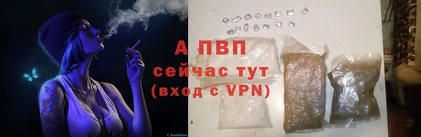 тгк Беломорск