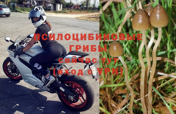 не бодяженный Белоозёрский