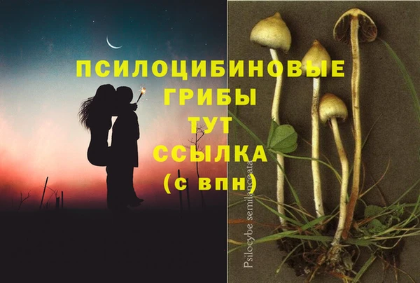 тгк Беломорск
